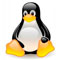 Programas/Software para cámaras IP. Linux